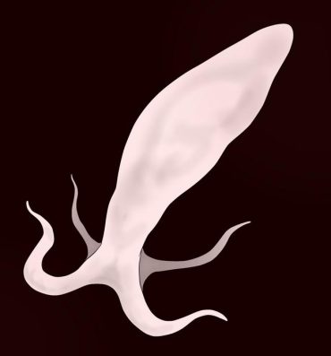 Sex Tape Sperm Creature on Male Amature